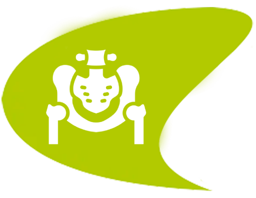 iconos suelo pelvico